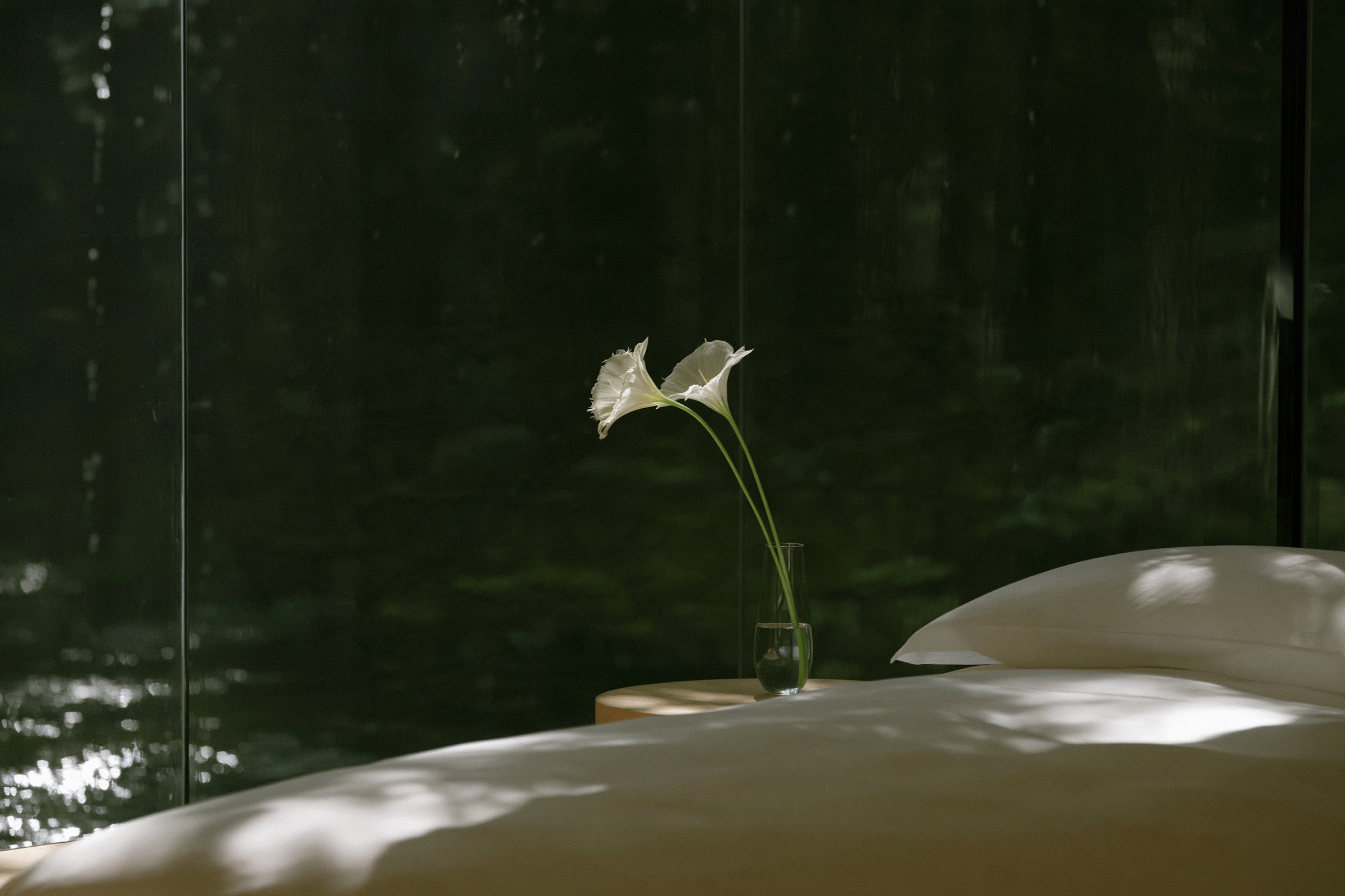 A guest room at night, a white bed and a single lily against dark green glass